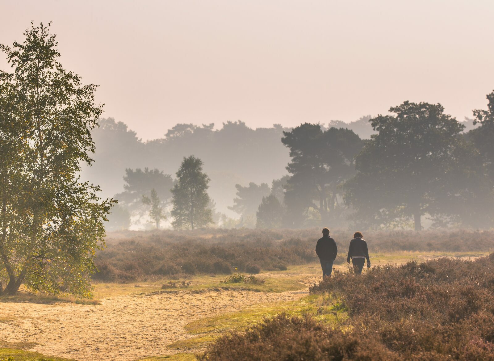 Midweek Veluwe