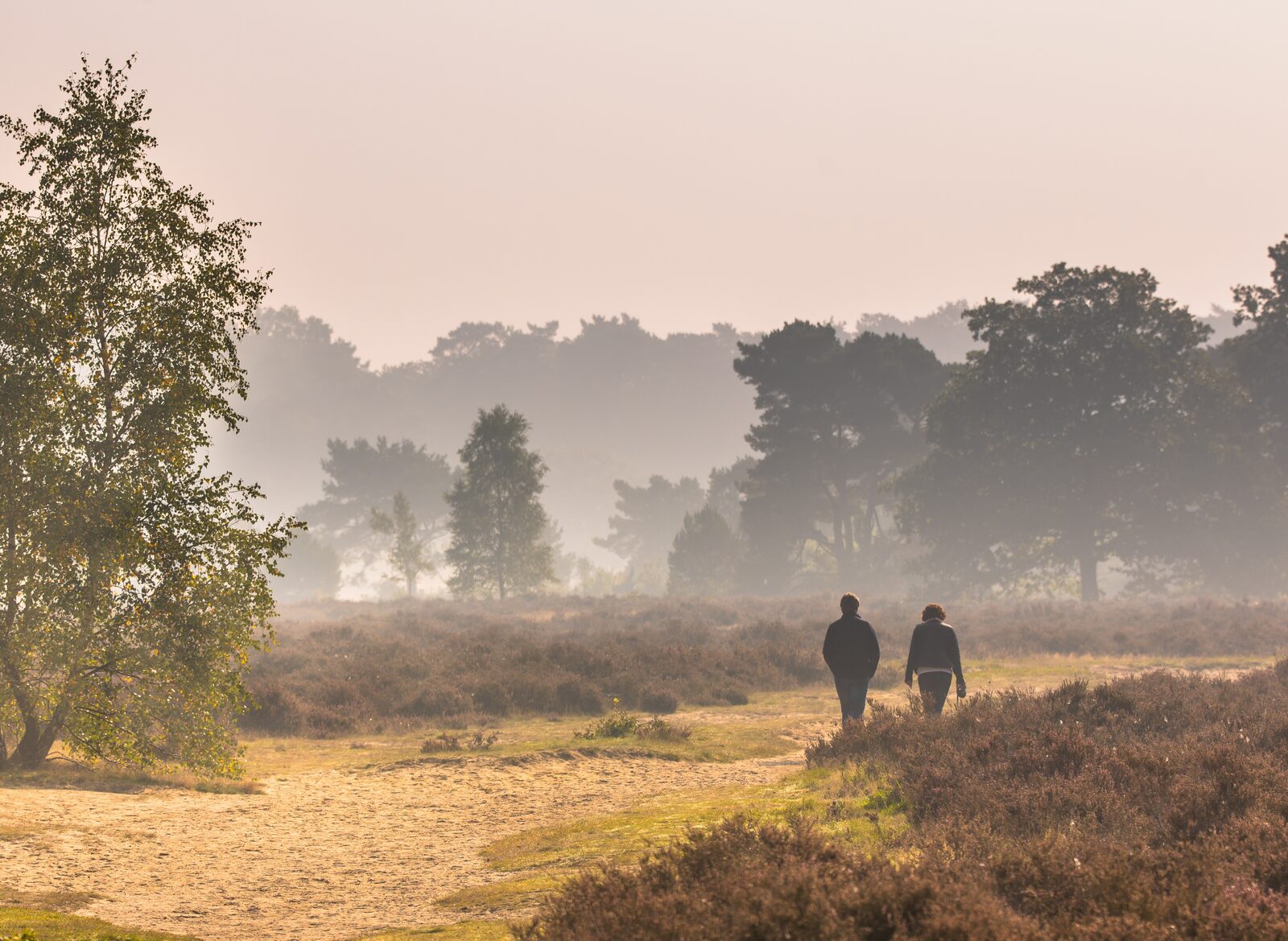 Veluwe