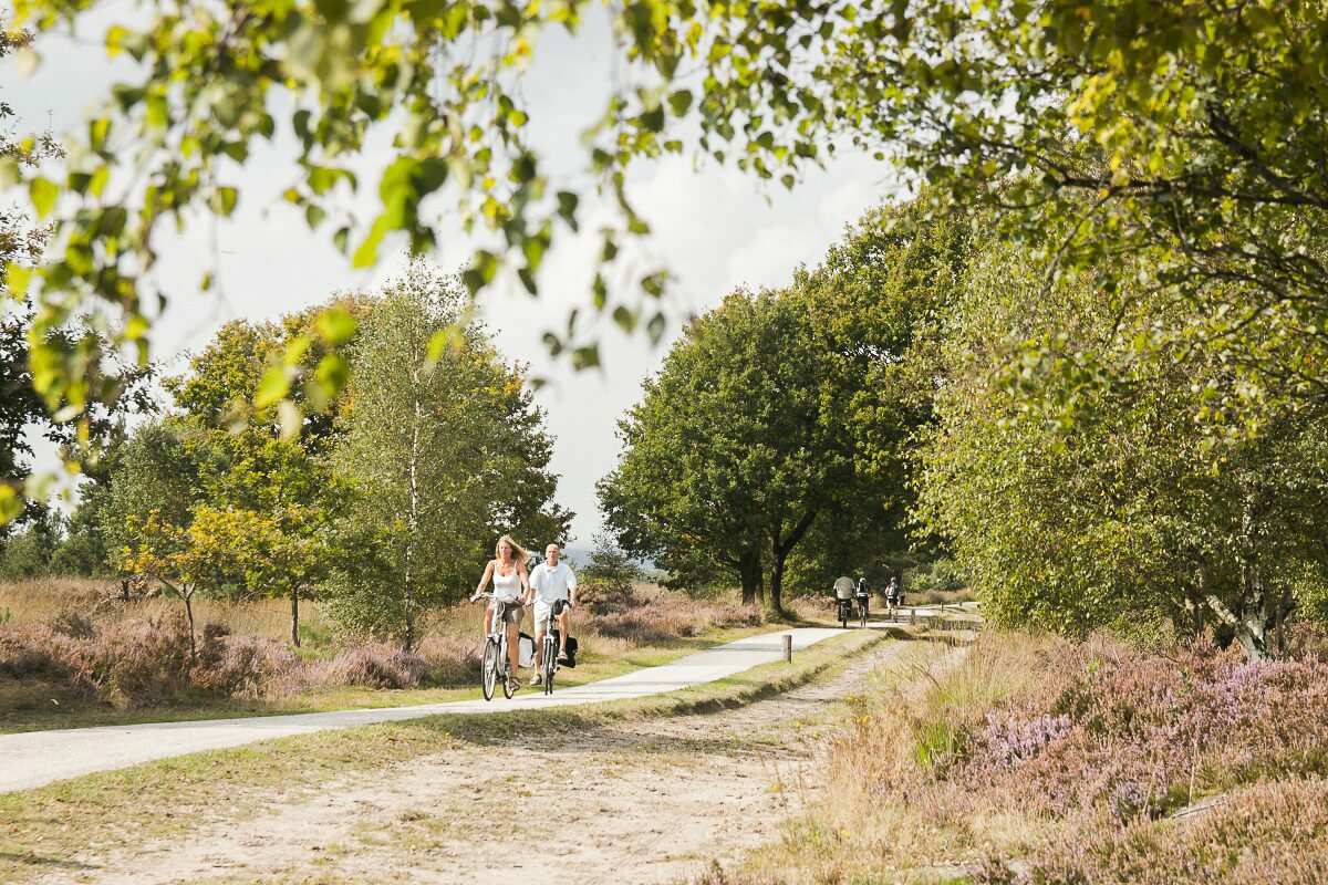   Gratis fiets- en wandelrouteboekje