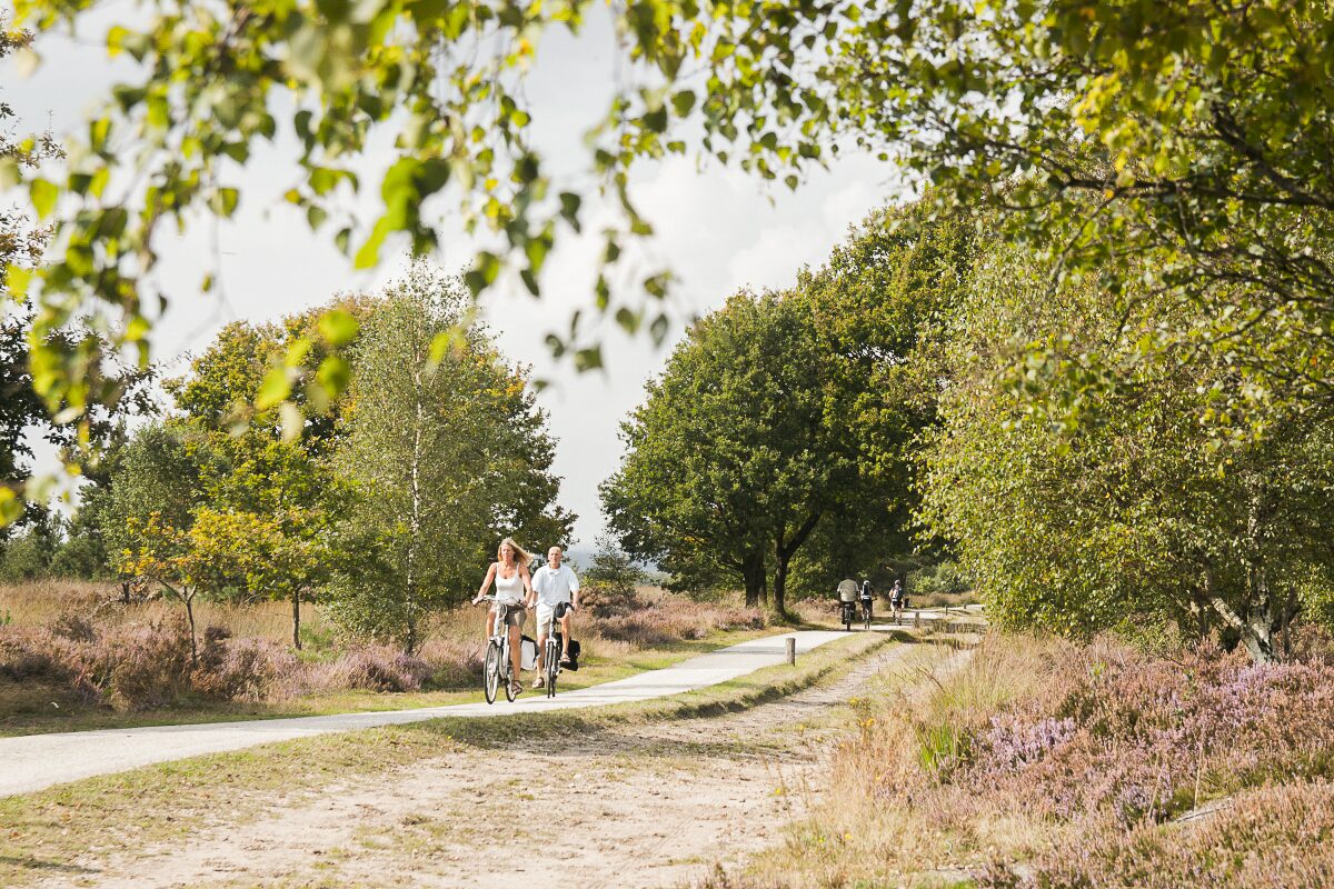 Gratis fiets- en wandelrouteboekje