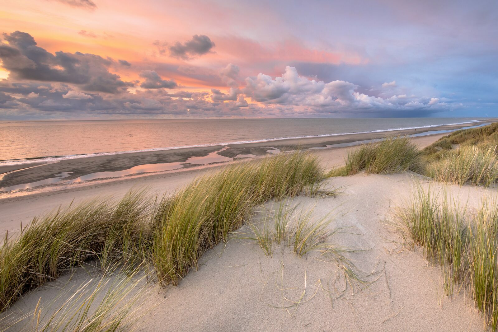 Wandering holiday Zeeland by the beach