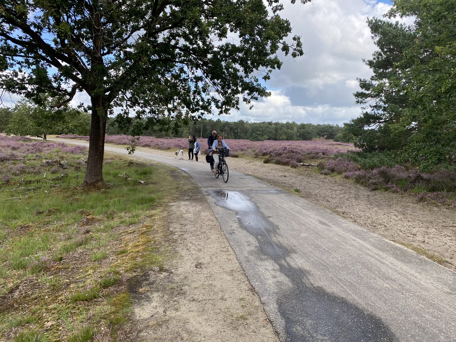 Wandelen en fietsen