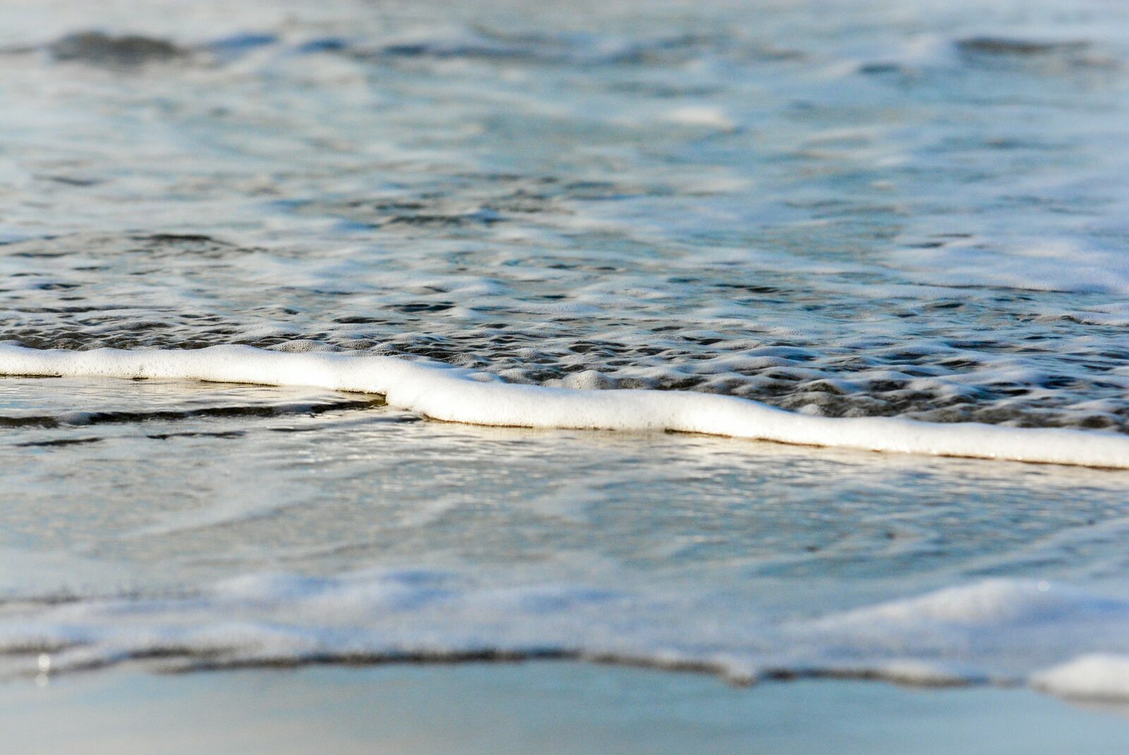 noordzee