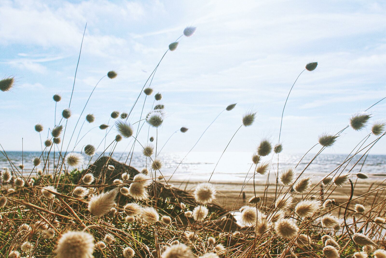 Our top 12 of the most beautiful beaches in the north of France