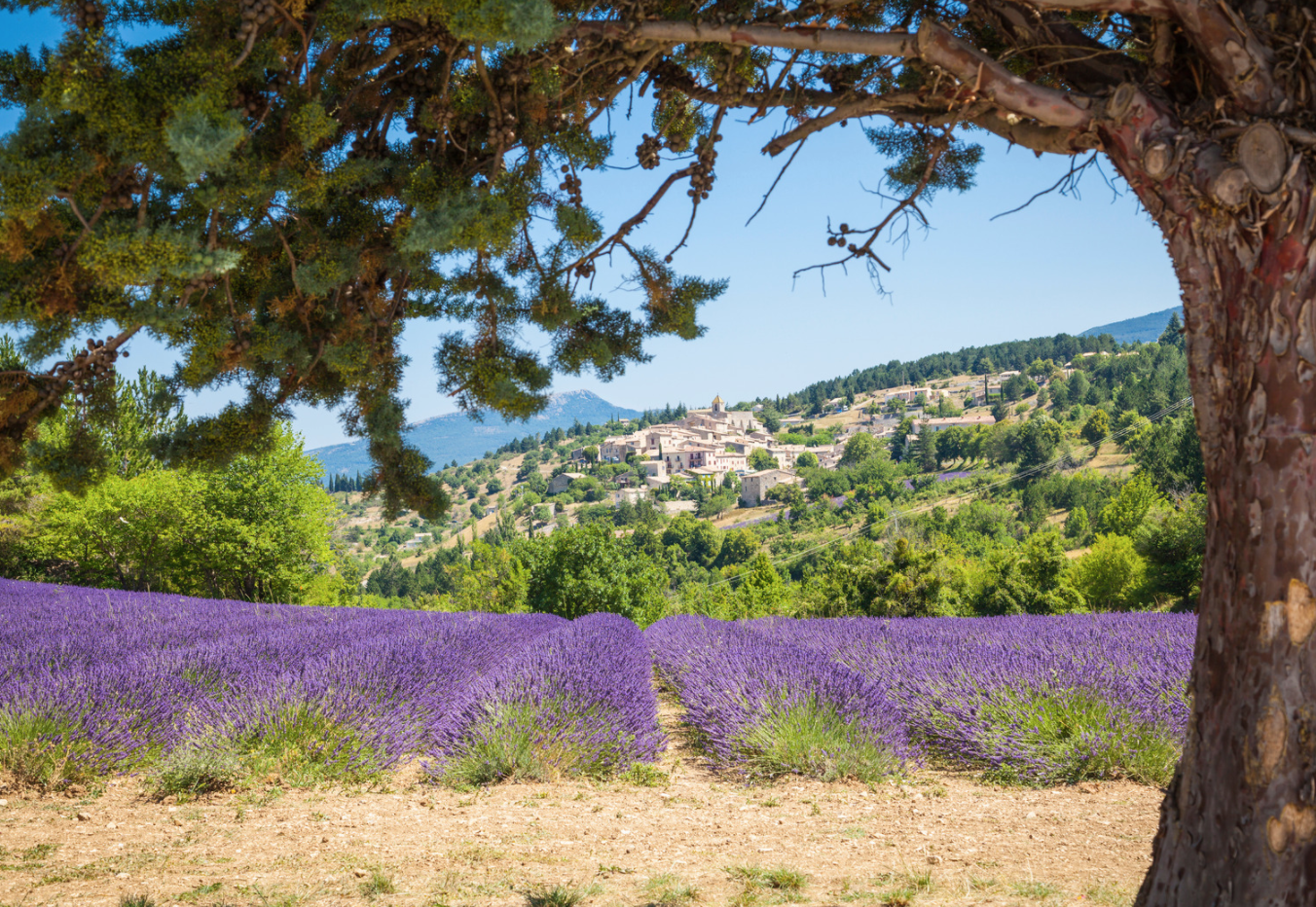 Holiday in France in every season