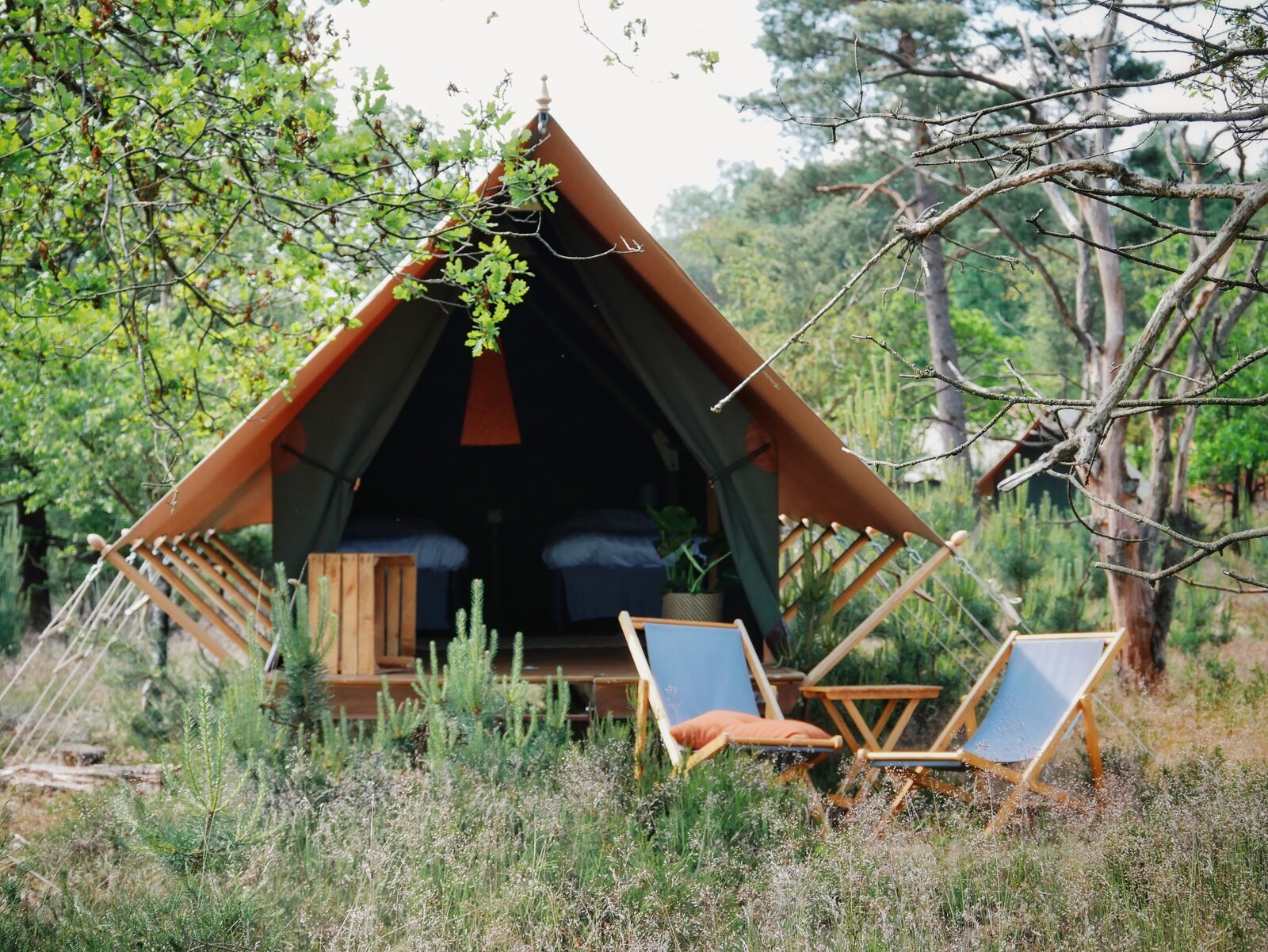 Pop-up glamping met kids