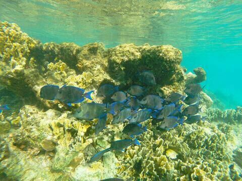 Bonaire National Marine Park