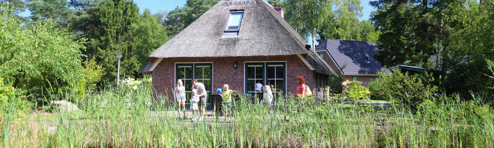 Summer holiday in Drenthe