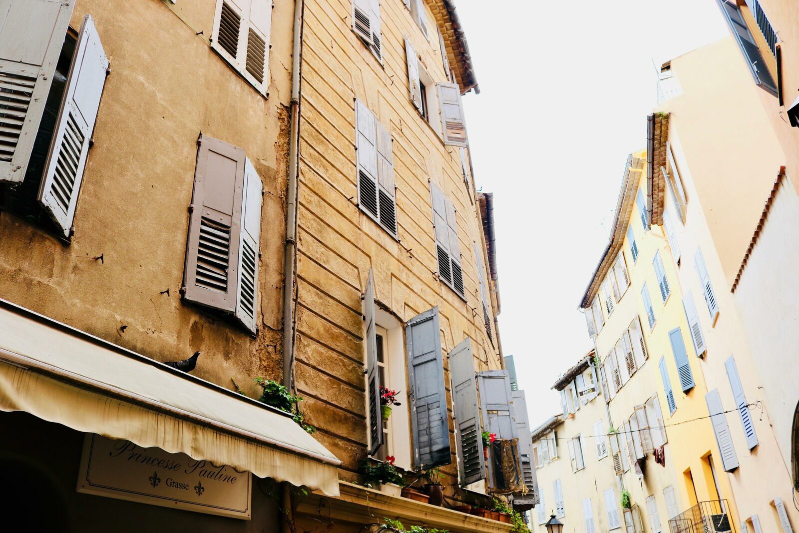 Grasse