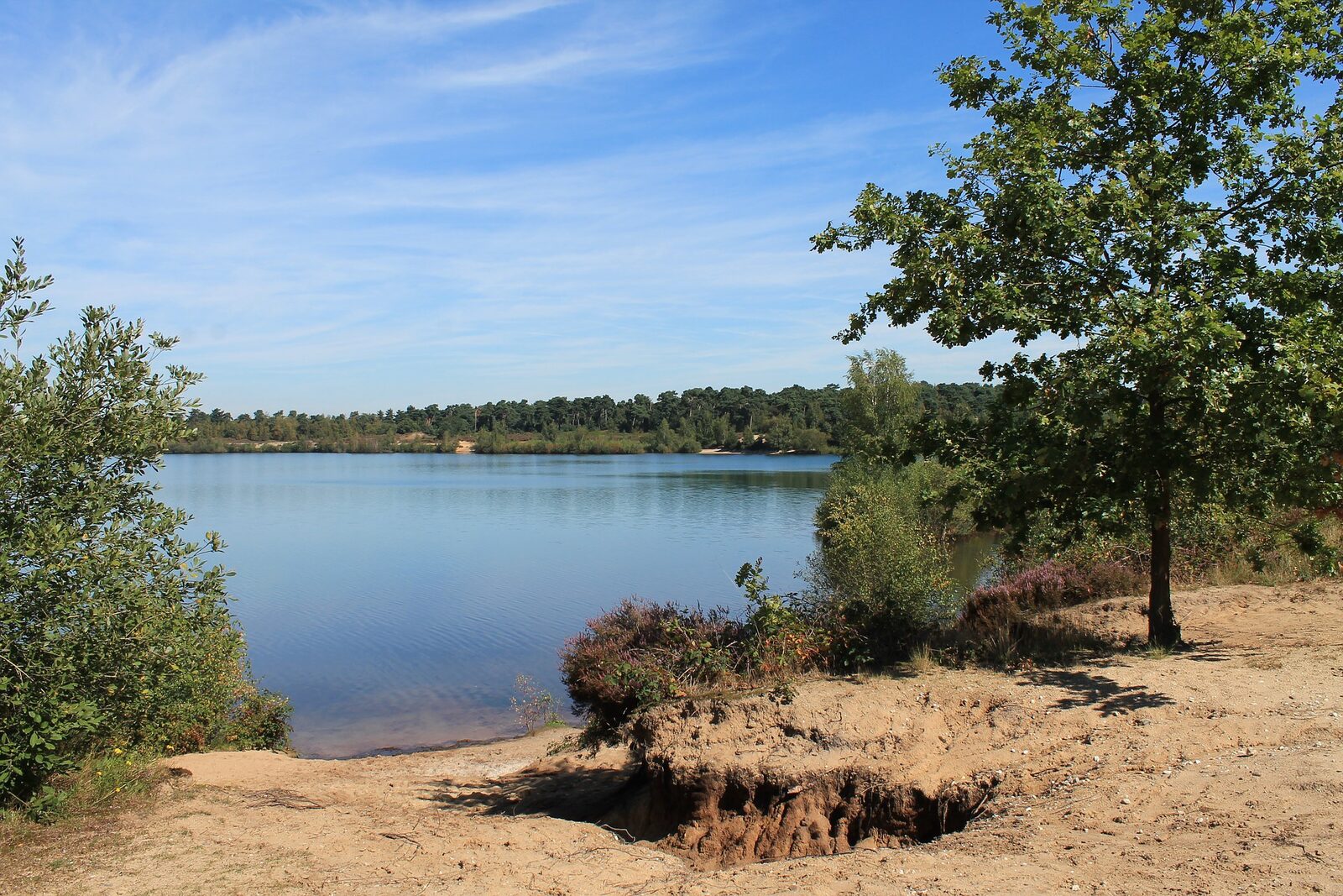 Reinders Lake