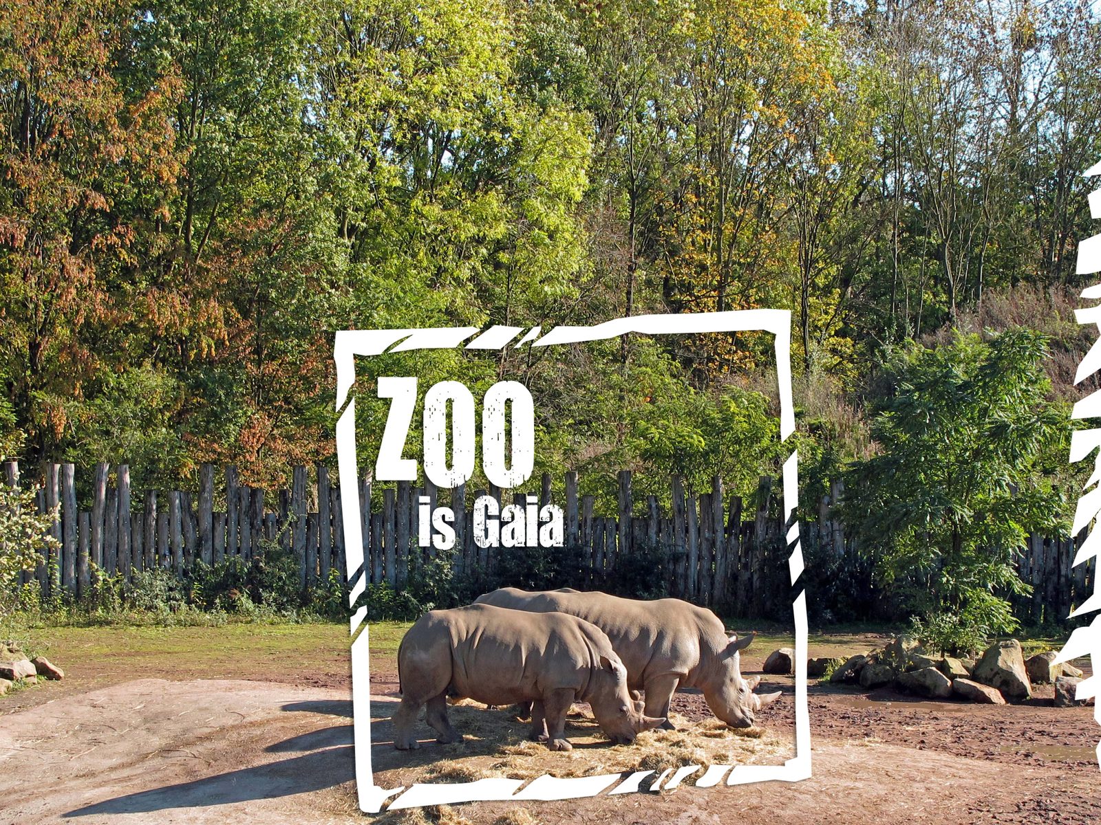 Gaia Zoo