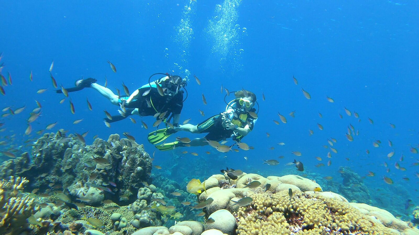 Snorkeling and Diving