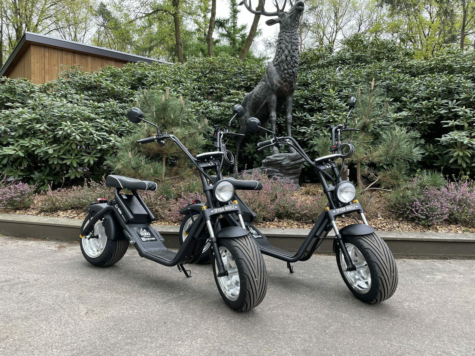 Rent E-choppers