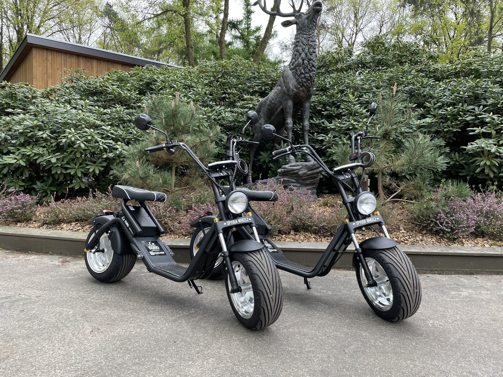 Renting E-Choppers