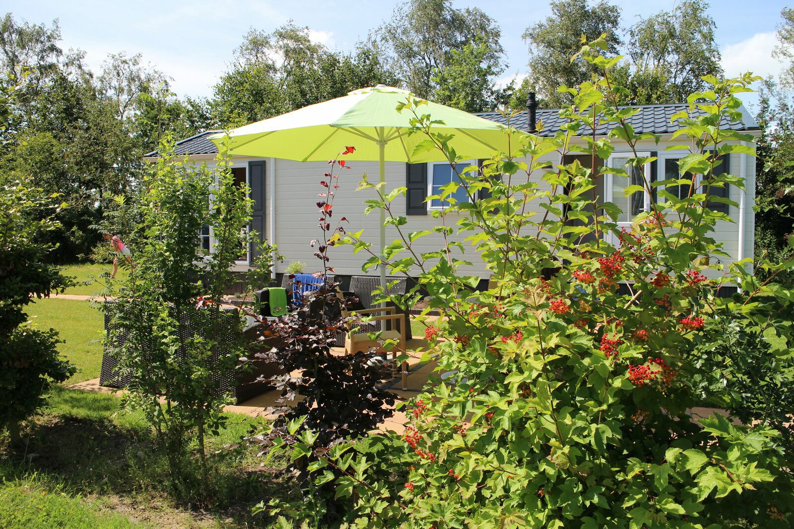 Chalet Esdoorn