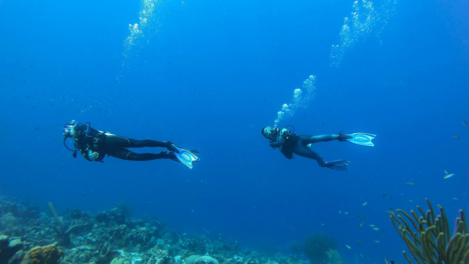 Bahia Diving