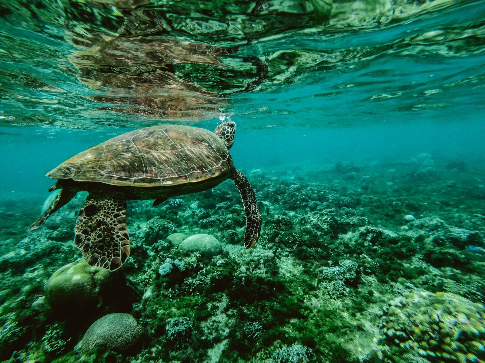 Bezienswaardigheden Bonaire