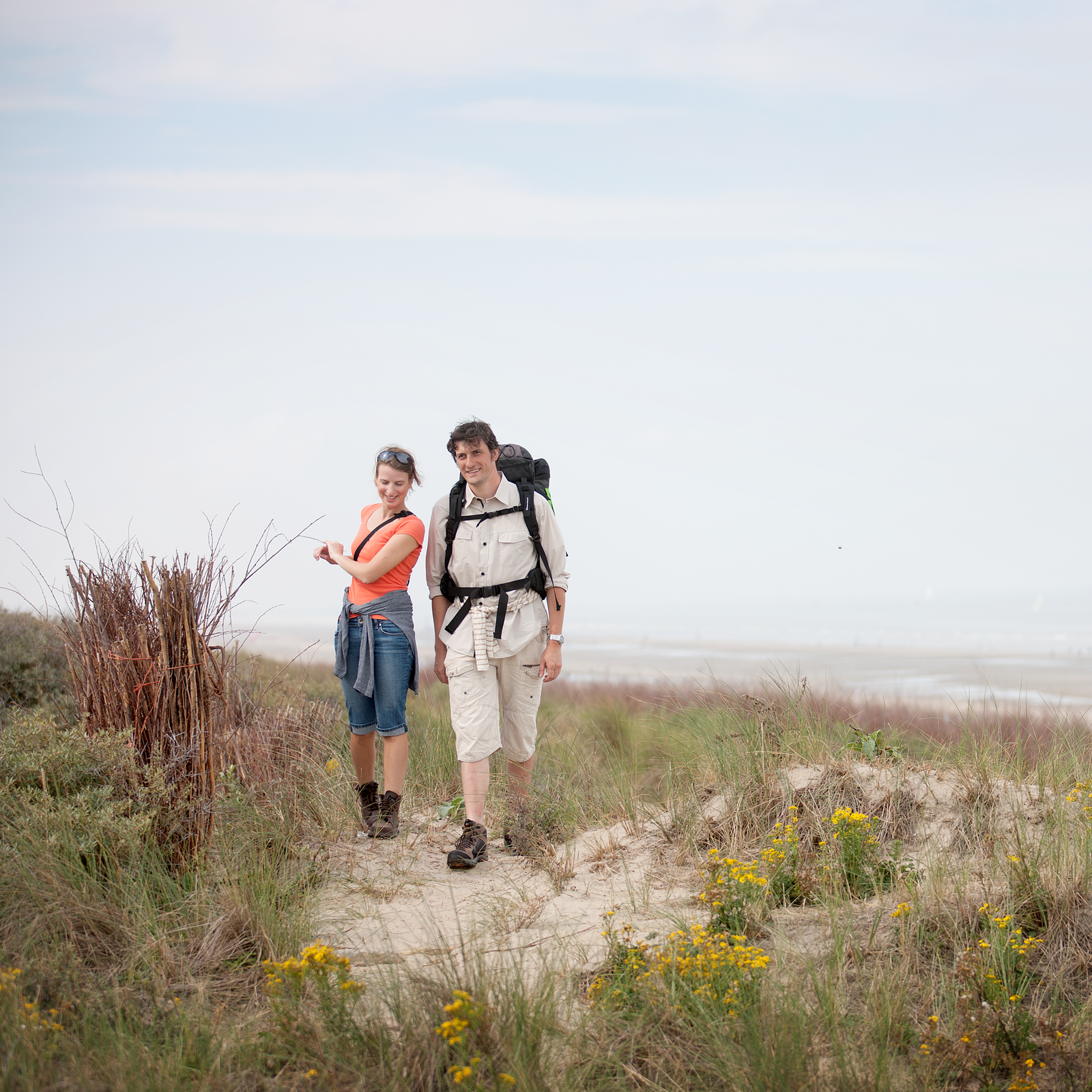 Natuur aan de kust - blankenberg - Holiday Suites