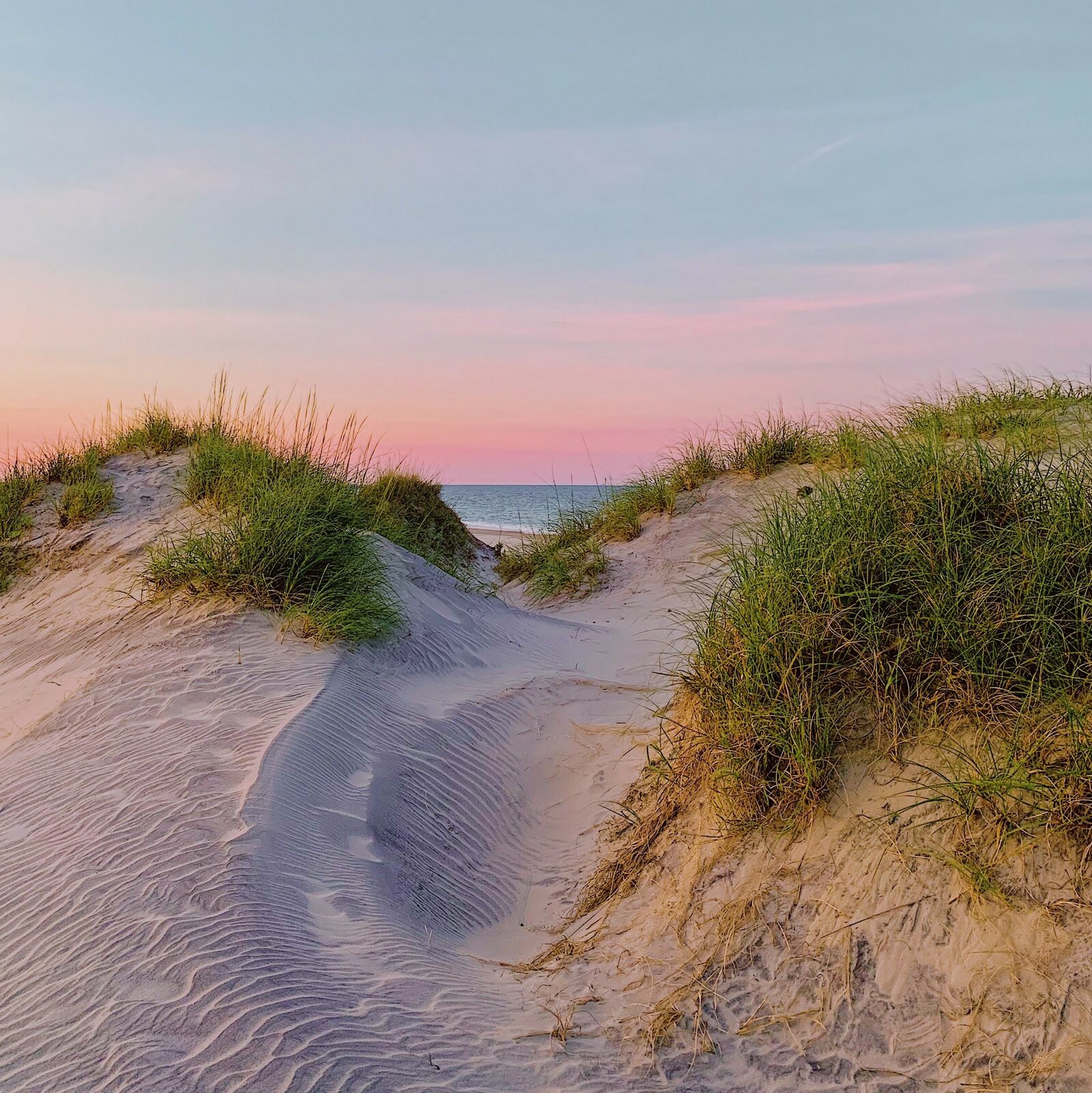 Natuur aan de kust - De Haan - Holiday Suites