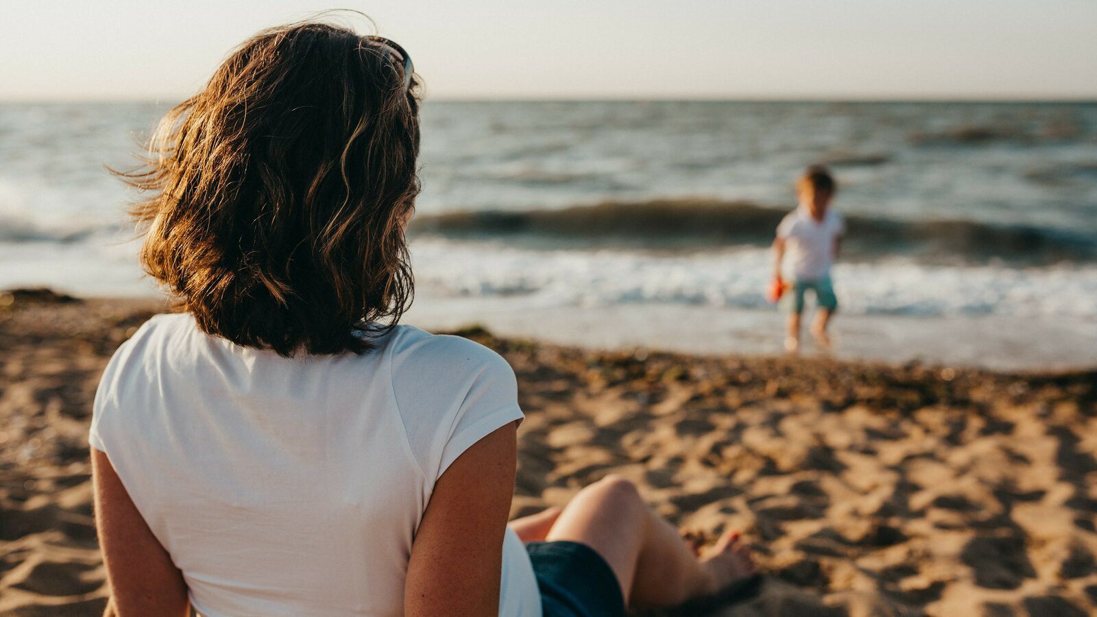 Natuur aan de kust - Natuurfenomenen - Holiday Suites