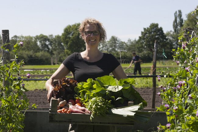 Biologische Tuinderij de Elzenkamp