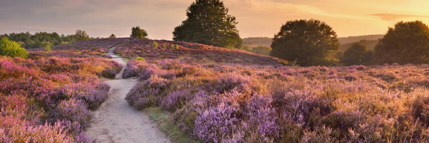 Veluwe Strandbad surroundings