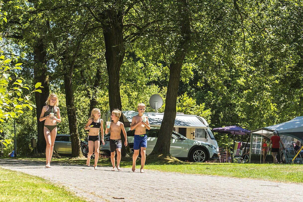 Summer holidays in Winterswijk