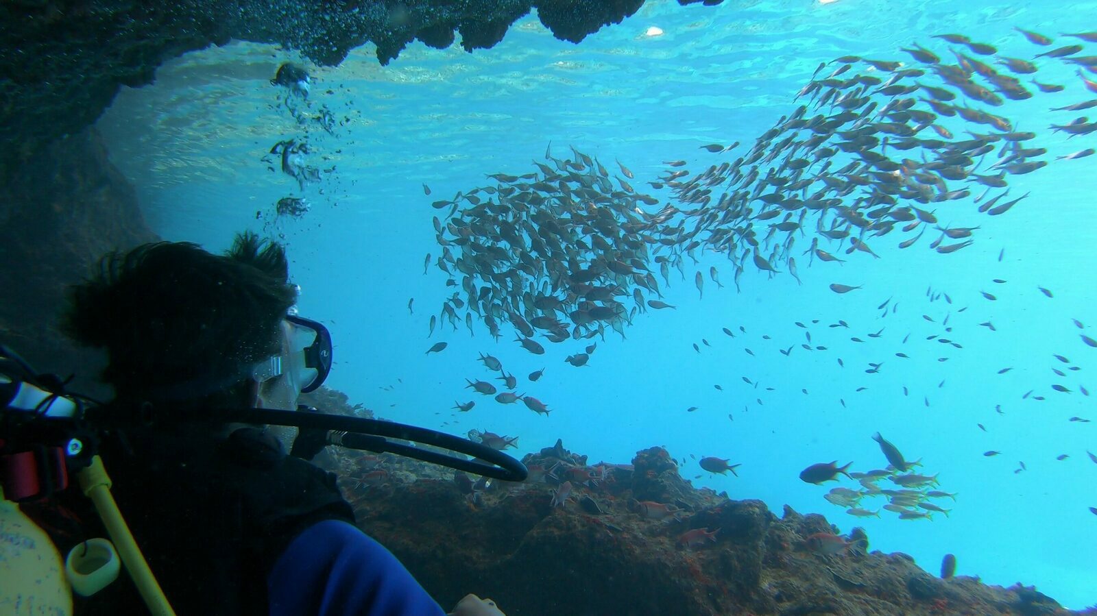 Bahia Diving Cursussen