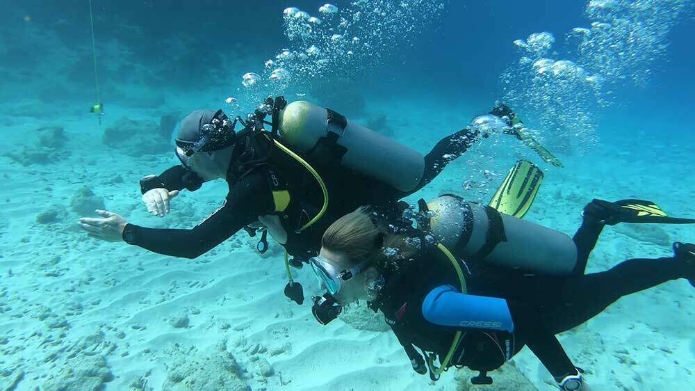 Rescue Diver Course Bahia Diving Curaçao