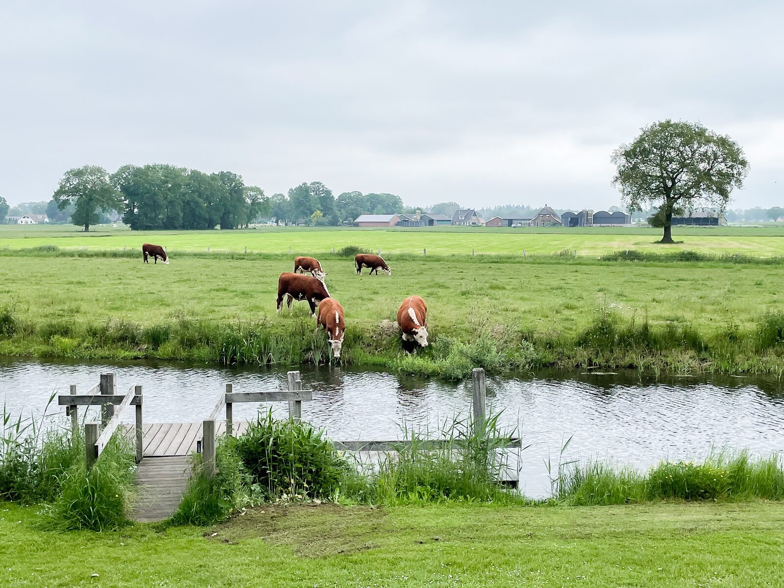 https://justmytravel.nl/molke-zuna-dichtbij-de-natuur-in-de-river-lodge/