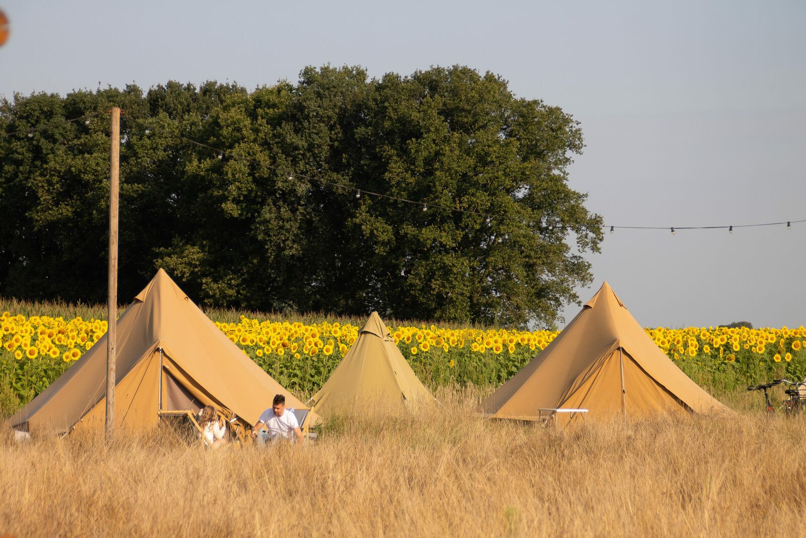 Pop-up glamping