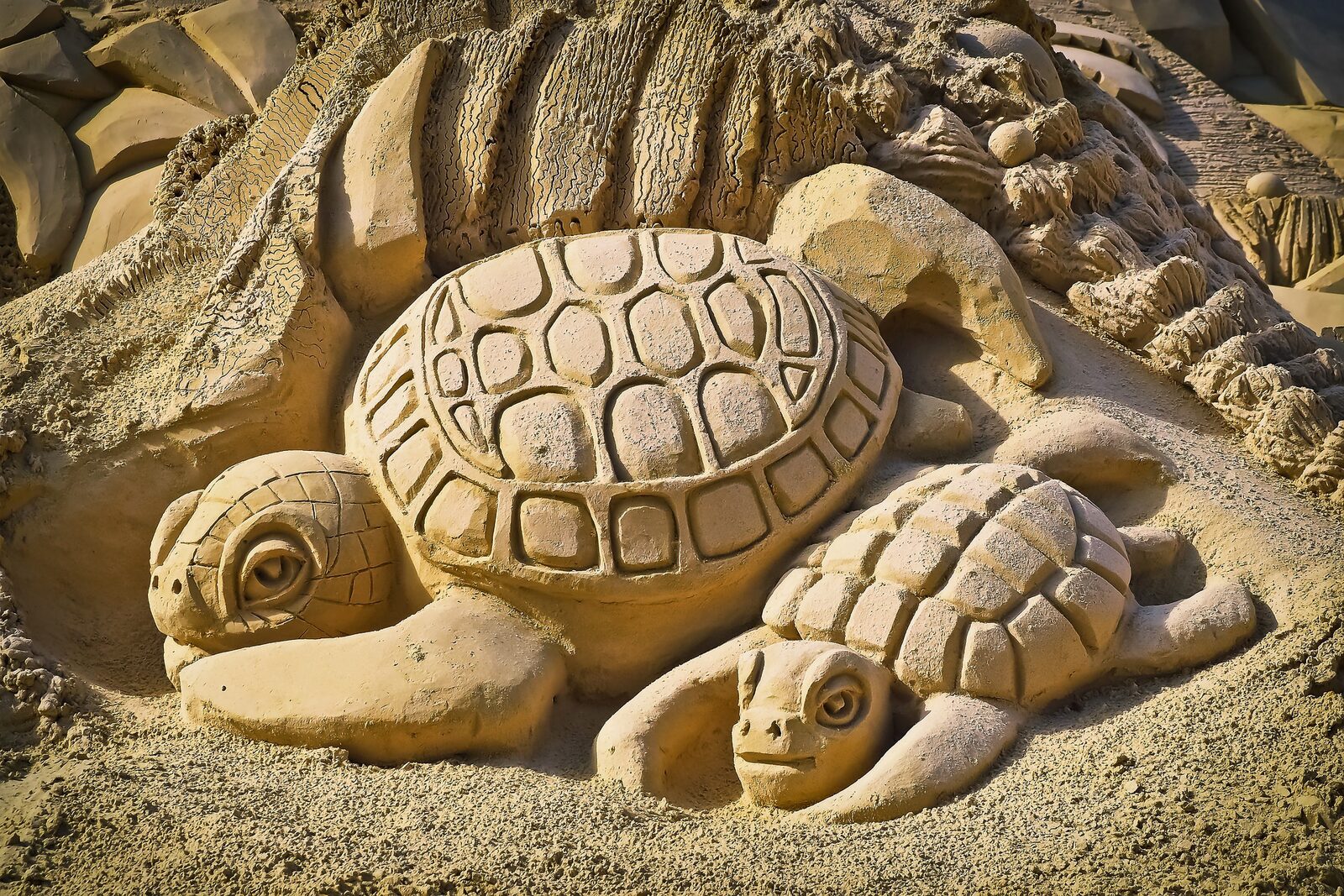 🤩 Artworks made of Sand in Elburg!