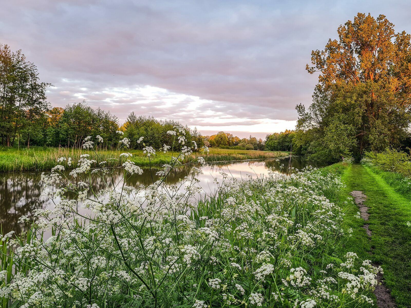 Vakantiepark met Viswater