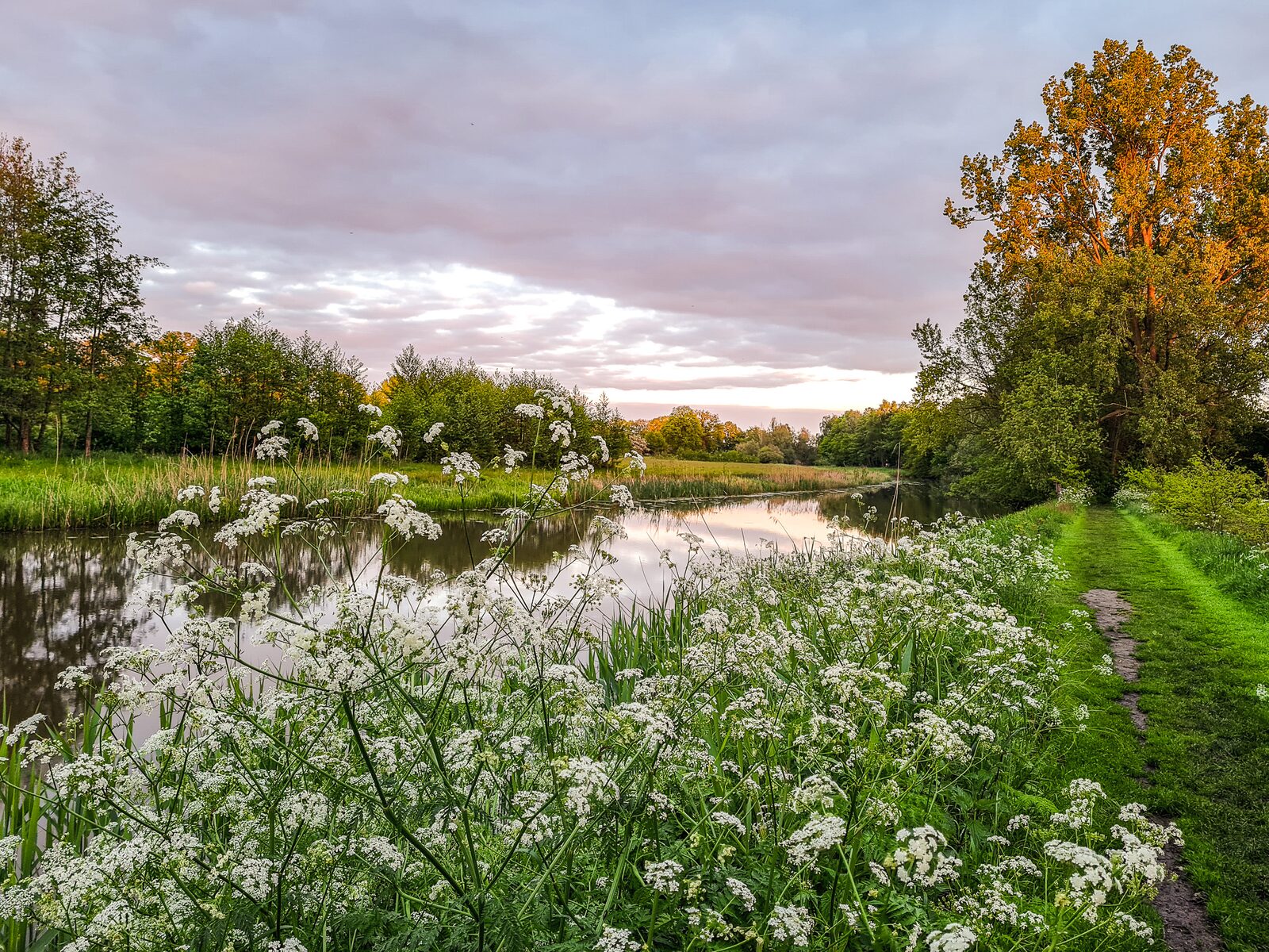 Holidaypark with fishing waters