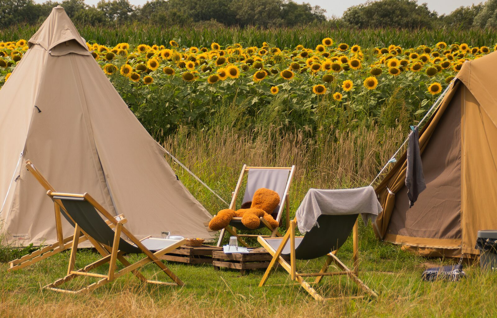 glamping aan het water