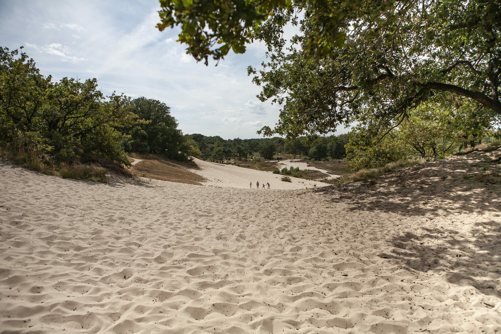 Algemene voorwaarden Sandberghe