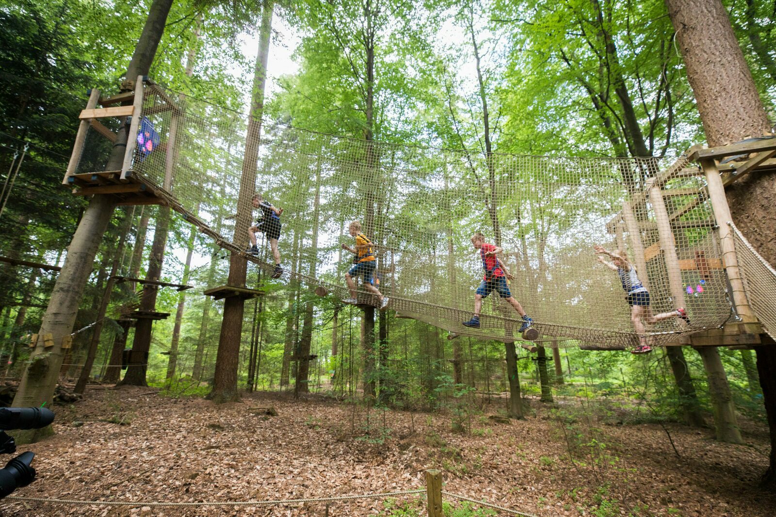 Climbing forest Ruurlo