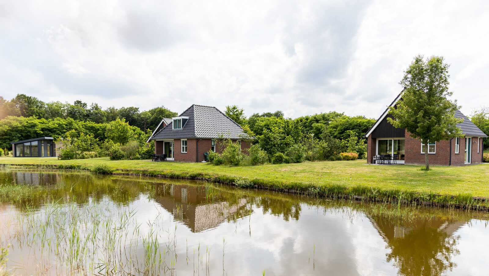 Entdecken Sie das lebendige Assen