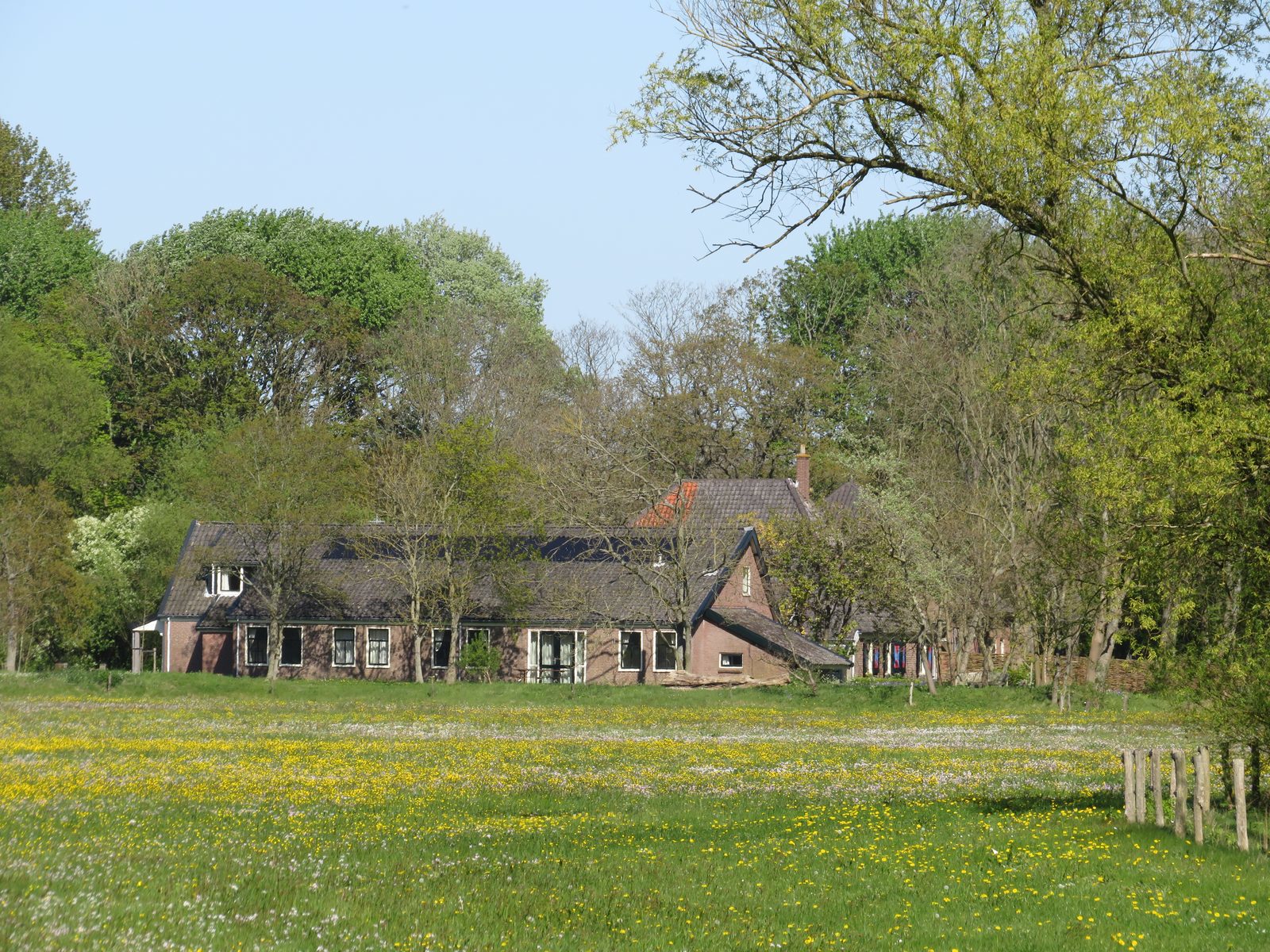 Gardens and nature