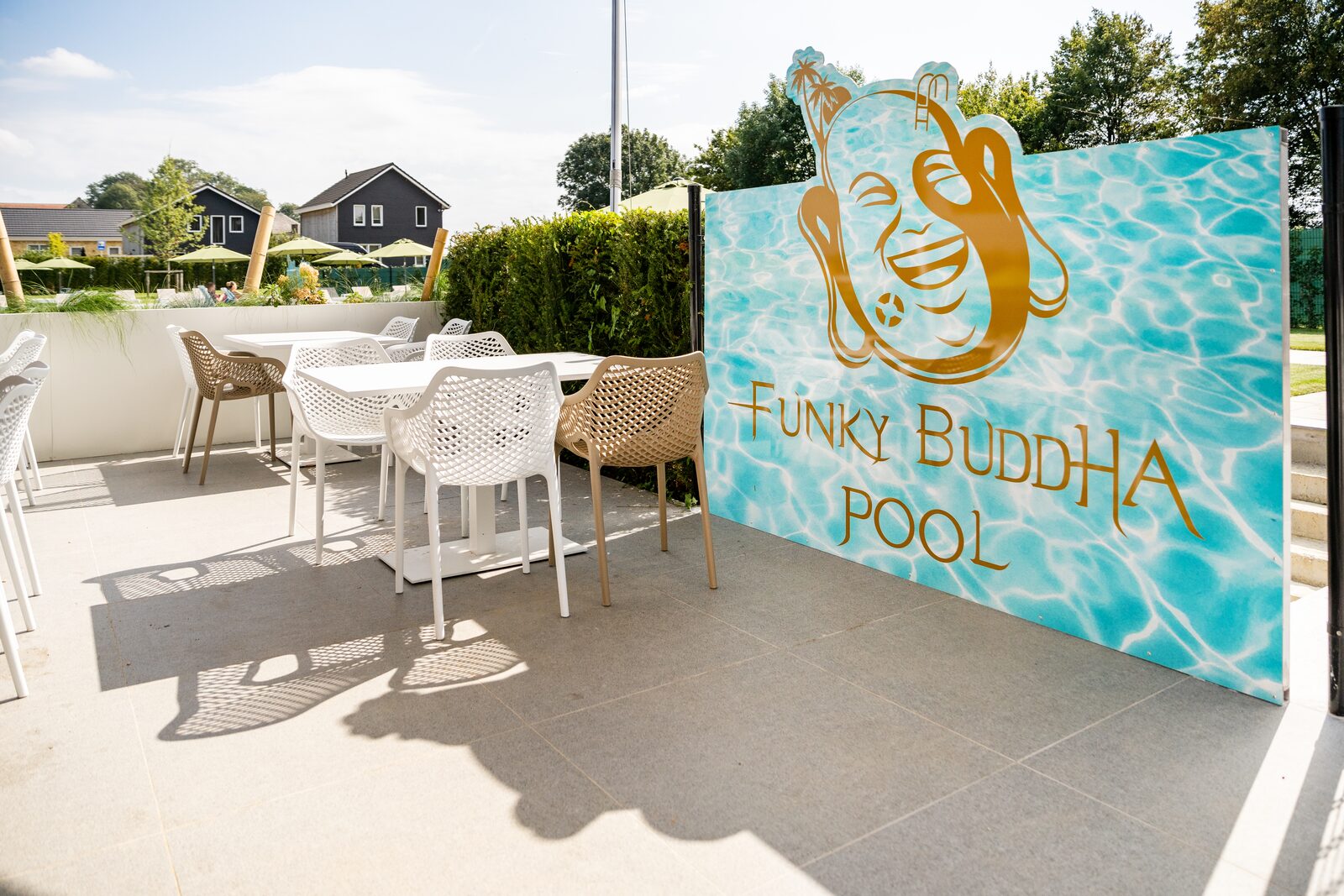 Funky Buddha Pool Bar