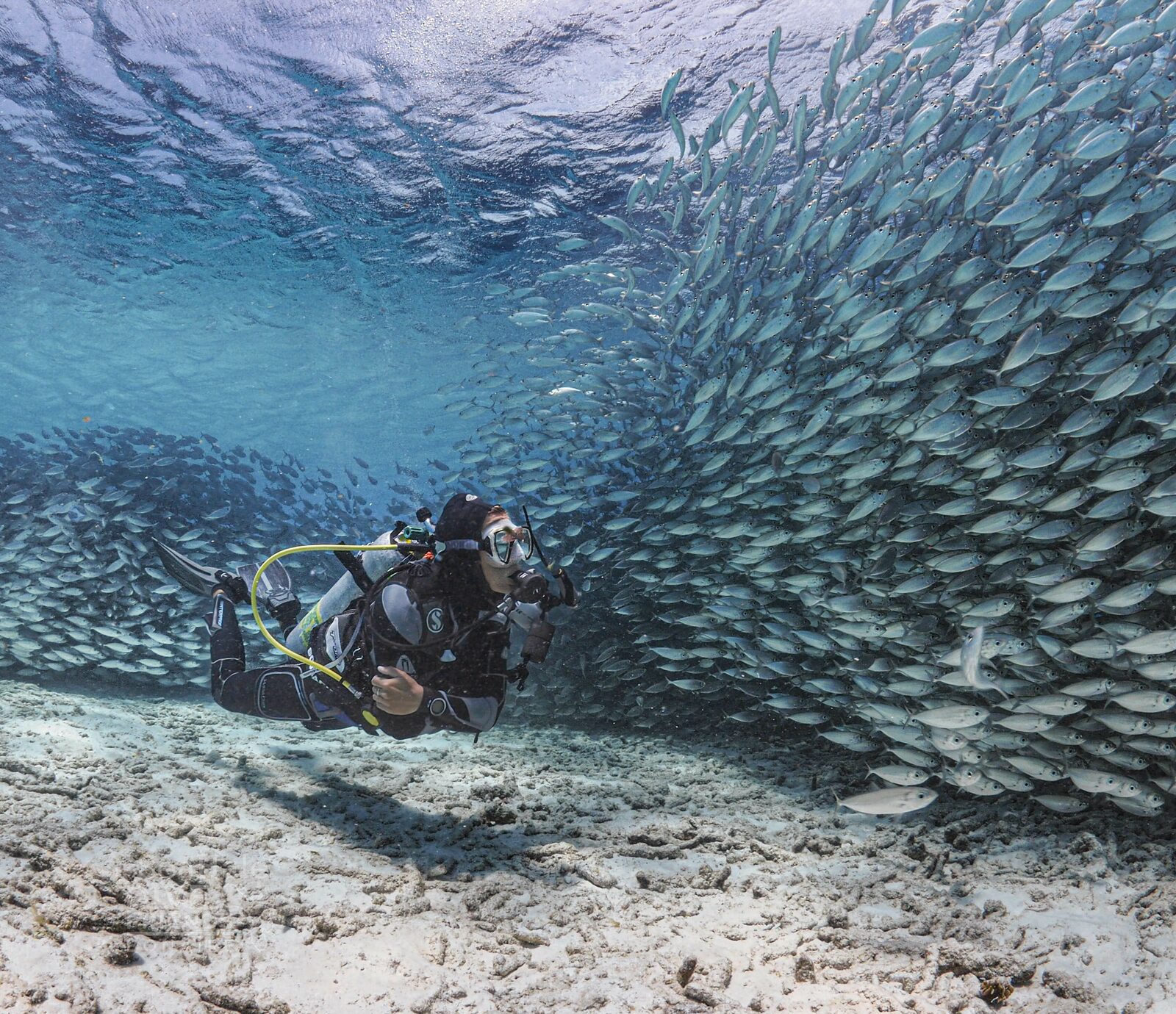 Beste duikplekken Bonaire