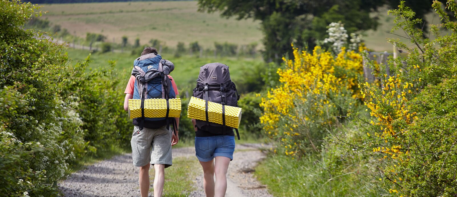 Hiking and Cycling