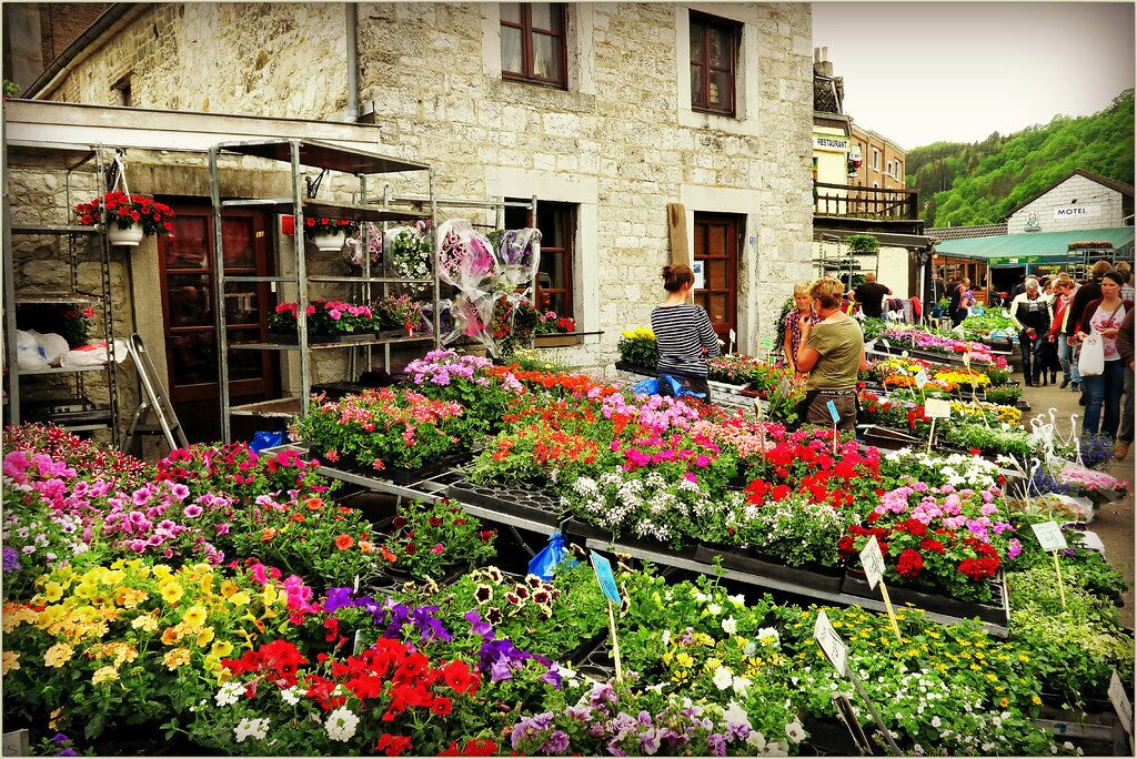 Markets and Brocantes