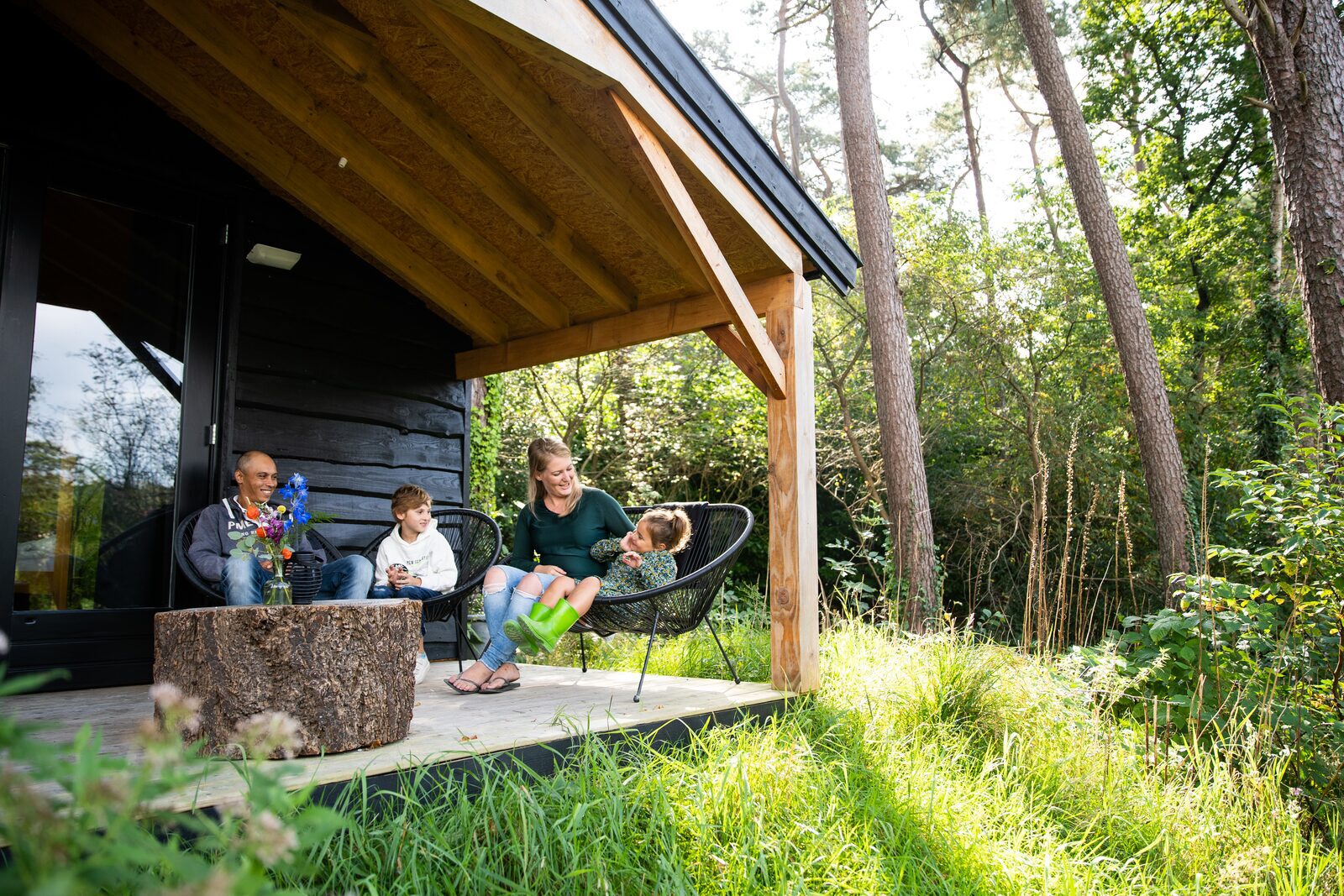 Tiny house Drenthe