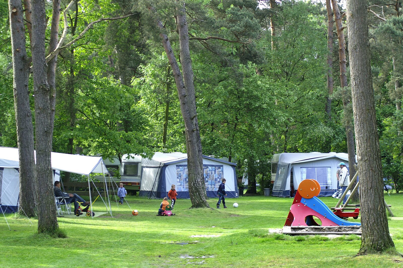 Camping met hond Nederland