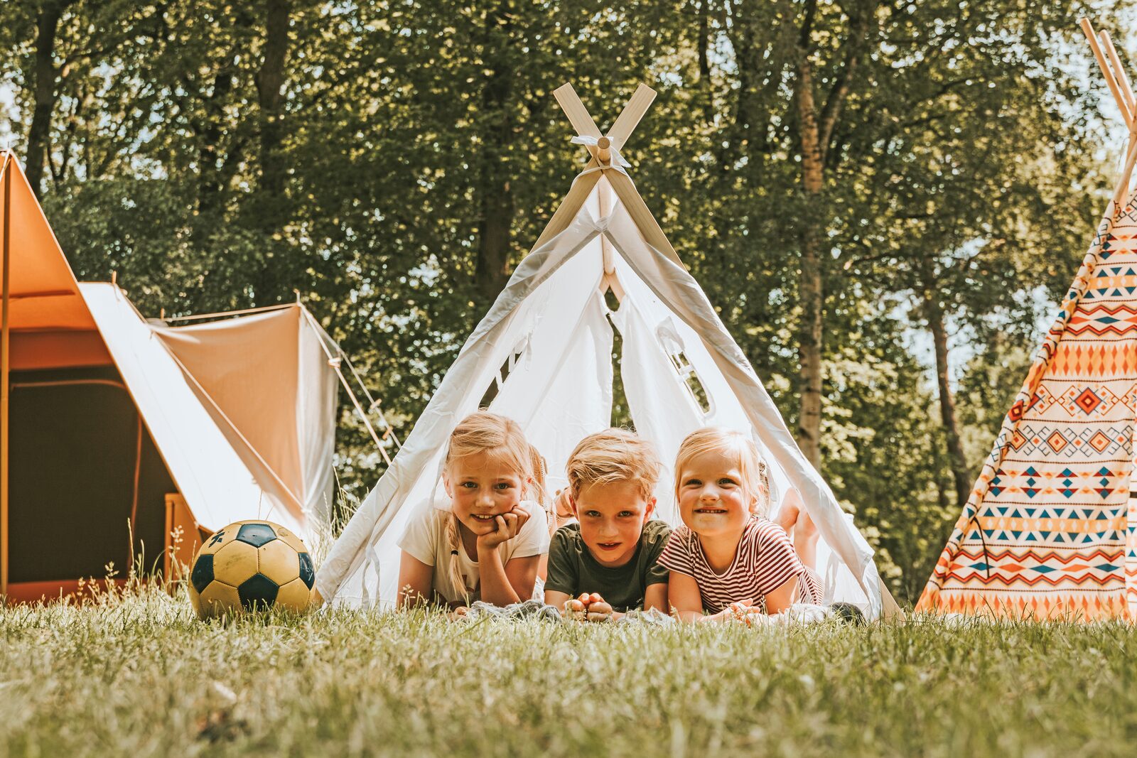 Camping van het jaar