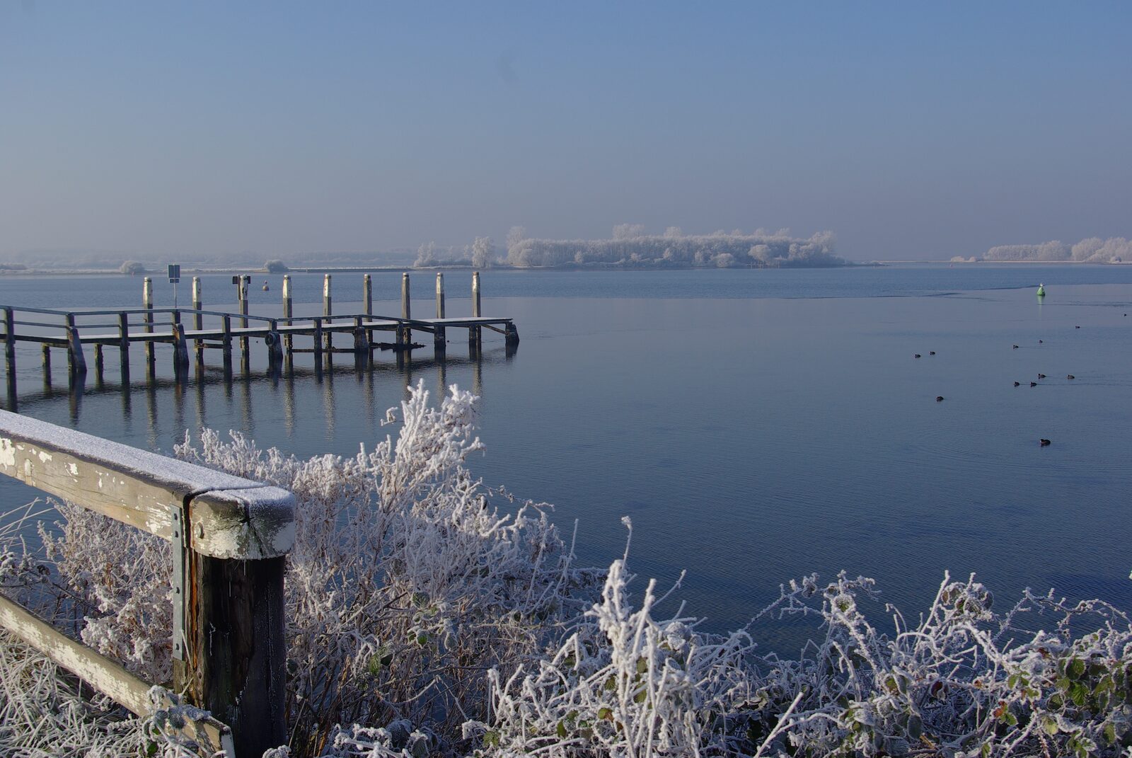 Winter nature Christmas holidays