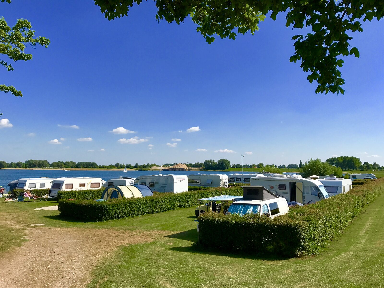 Camping Veluwe with a dog