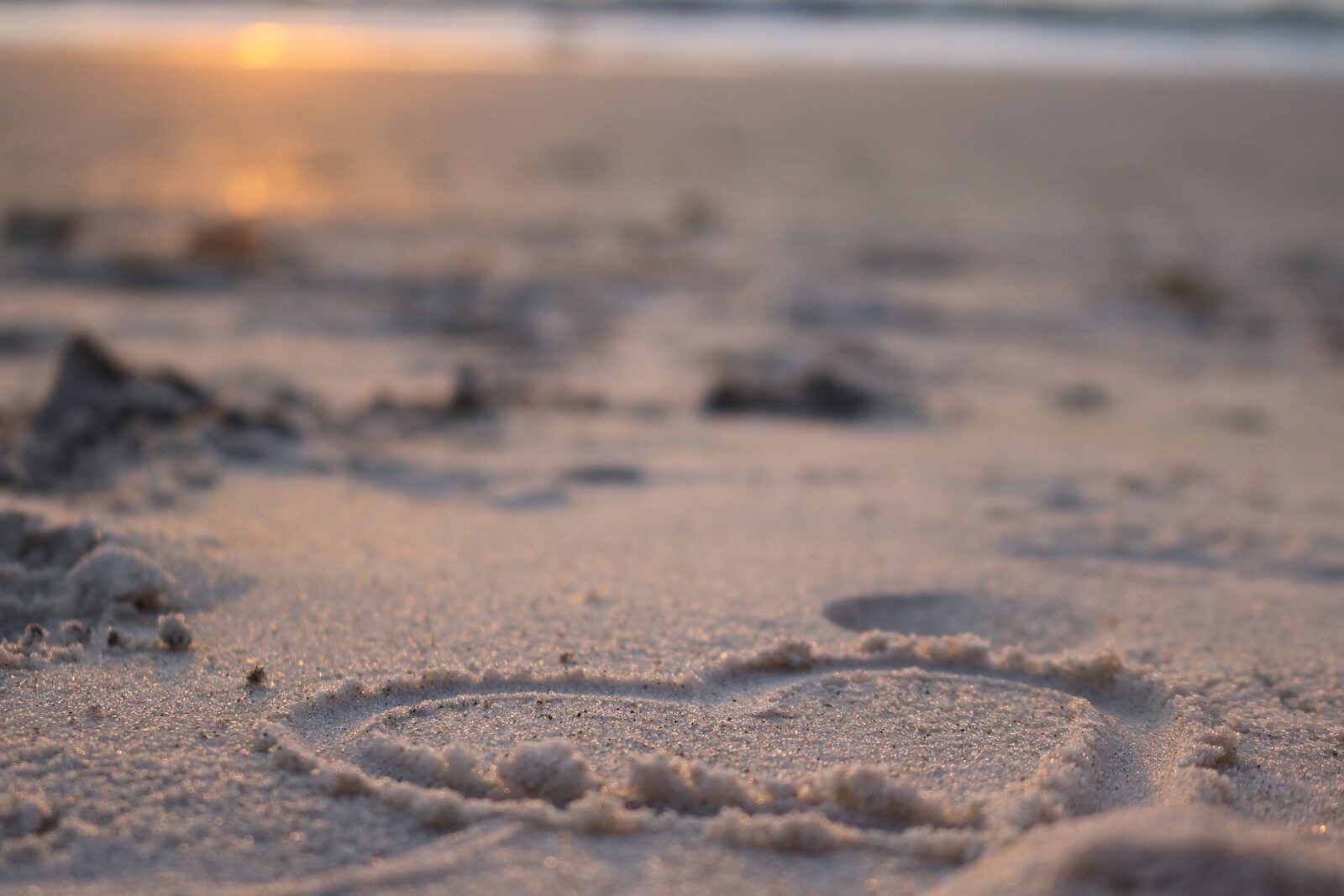 Valentine's Day by the sea