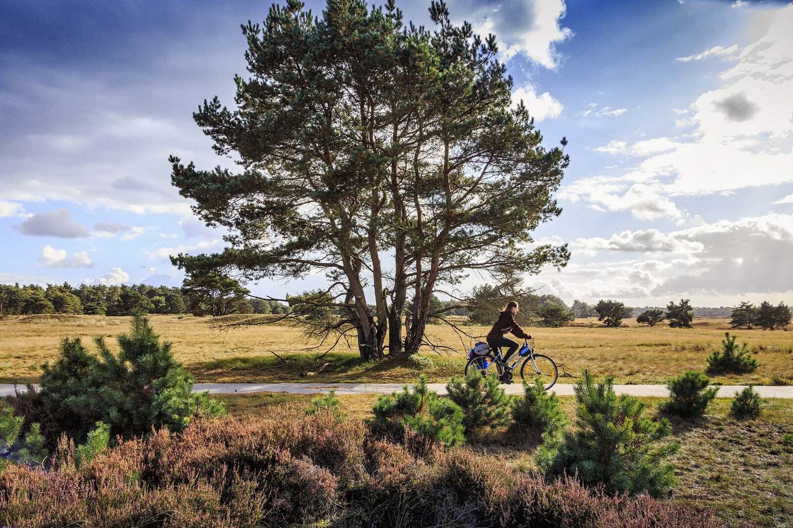 National Park De Hoge Veluwe